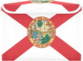Florida State Polyester Flag Fl Red Storage Container with Lid Collapsible Box Organizer Boxes for Storage for Dorm Room