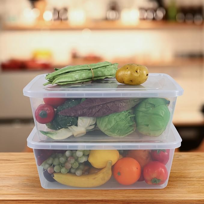 2 Packs Plastic Clear Storage Bins with Lid Latch Containers with Lid 16 L