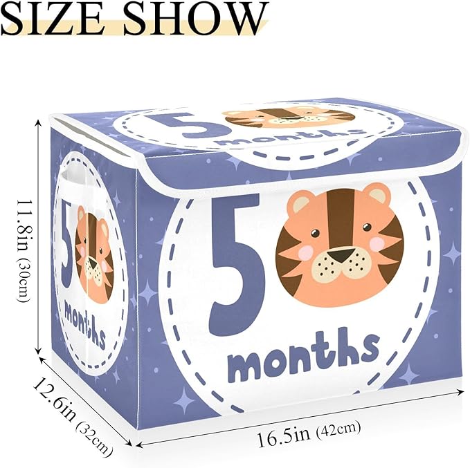 5_months Storage Box with Lid Collapsible Cube Storage Shoe Boxes with Lids for Dorm Room Dormroom Storage