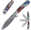 Sitivien ST256 Damascus Steel Folding KnifeDamascus Blade with Colorful G10 Handle EDC Knife for Outdoor CampingHiking Fishing(Color) … …