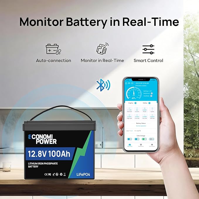 12V 100Ah LiFePO4 Lithium Battery - Built-in 100A BMS Group 24 Deep Cycle Battery for RV SolarOff-Grid &amp Trolling Motor 15000+ Cycles 10-Year Lifespan