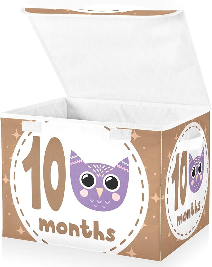 10_months Storage Bin with Lid Collapsible Organization Storage Qt Storage Bins for Dorm Room Home Decor