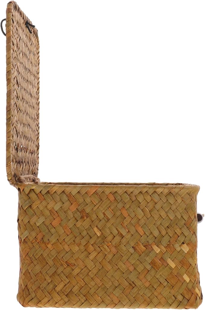 Hand Woven Lidded Storage Basket Woven Basket for Home Desktop Organizer Rattan Box