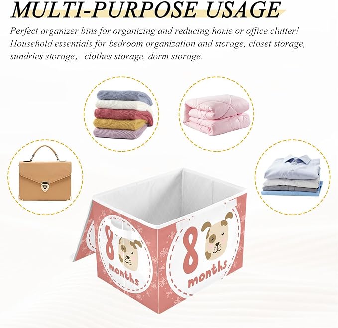 8_months Storage Bins with Lids Collapsible Shoebox Storage Large Storage Bins with Lids for Office Supplies Office