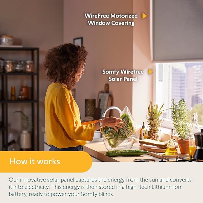 Somfy Wirefree Li-ion Solar Panel Kit 2-Pack - Solar Panel Power for RTS Motorized Shades Blinds and Curtains - Long Lasting Easy to Install - Includes Brackets and Glass Mount Adhesive #9027294