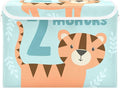 2_months Storage Bins with Lid Foldable Shoe Storage Bins with Lids for Storage for Home Studyroom Office Basket