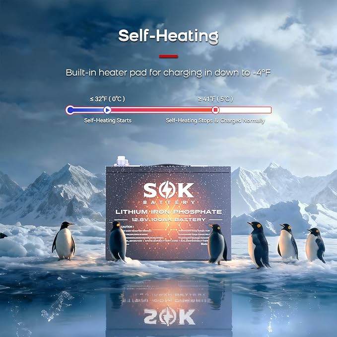 SOK Battery 12V 100Ah LiFePO4 Deep Cycle Lithium Iron Phosphate Battery Built-in Bluetooth Low Temperature Protection &amp Self Heating Function Suitable for RV and Solar &amp Wind Off-Grid Use