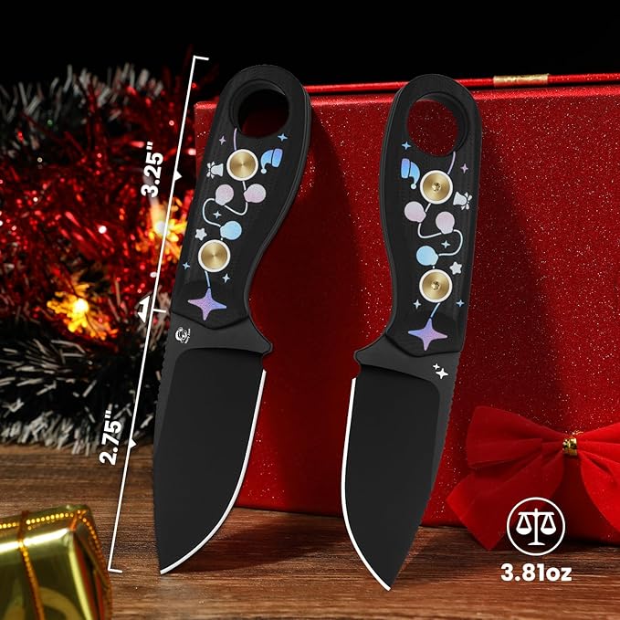 Kizer Beaver Fixed Blade Knife with Sheath 2.75 D2 Blade EDC Fixed Blade Camping Knife with Black G10 Handle Small Bushcraft Survival Knives Outdoor Hunting Knives for Men Women 1078MC1