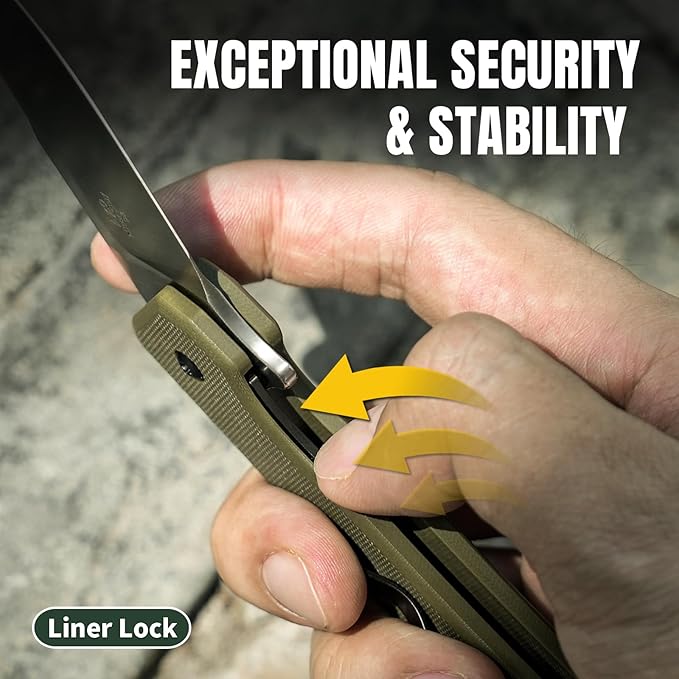 Kizer Nice Guy Pocket Folding Knife 2.84” D2 Steel Blade knives G10 Handle Small EDC Knife Liner Lock Flipper Knife for Men Women Sharp Camping Hiking Hunting Survival Knife V3011M2