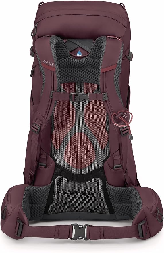 Osprey Kyte 38L Women's Backpacking Backpack with Hipbelt Elderberry Purple WXS/S