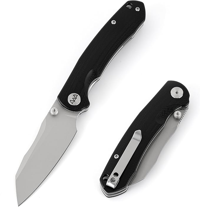 Folding Pocket Knife 3.35 14C28N Blade G10 Handle EDC Knife with Liner Lock Small Pocket Knife with Clip for Men Sharp Camping Hiking Hunting Survival Knives (Silver)
