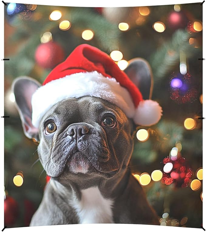 ALAZA French Bulldog Wearing A Santa Hat Beach Tent Sun Shelter Portable Canopy Sunshade for Outdoor Camping Picnics Backyard Fun 10x9 ft