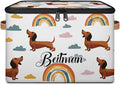 Storage-Bins with Lids Handle Customized Stackable-Storage-Bin for Kids-Boys-Girls-Toys Cube Collapsibl Basket Dog