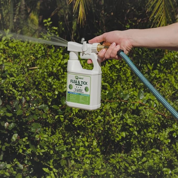 Mosquito Magician Flea and Tick Yard Spray with Hose End Sprayer – Mosquito &amp Tick Killer and Repellent Flea Treatment &amp Outdoor Bug Control for Lawn Garden &amp Backyard – Mint Scent 32 O