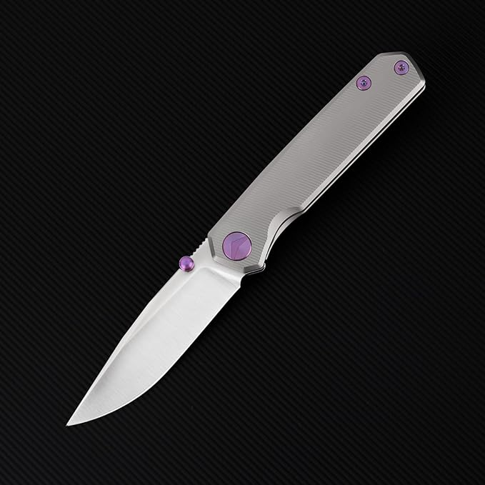 Folding Pocket Knife 2.95 Elmax Blade EDC Knife with Titanium Handle and Frame Lock Small Pocket Knife with Clip for Men Sharp Camping Hiking Hunting Survival Knives (Silver)