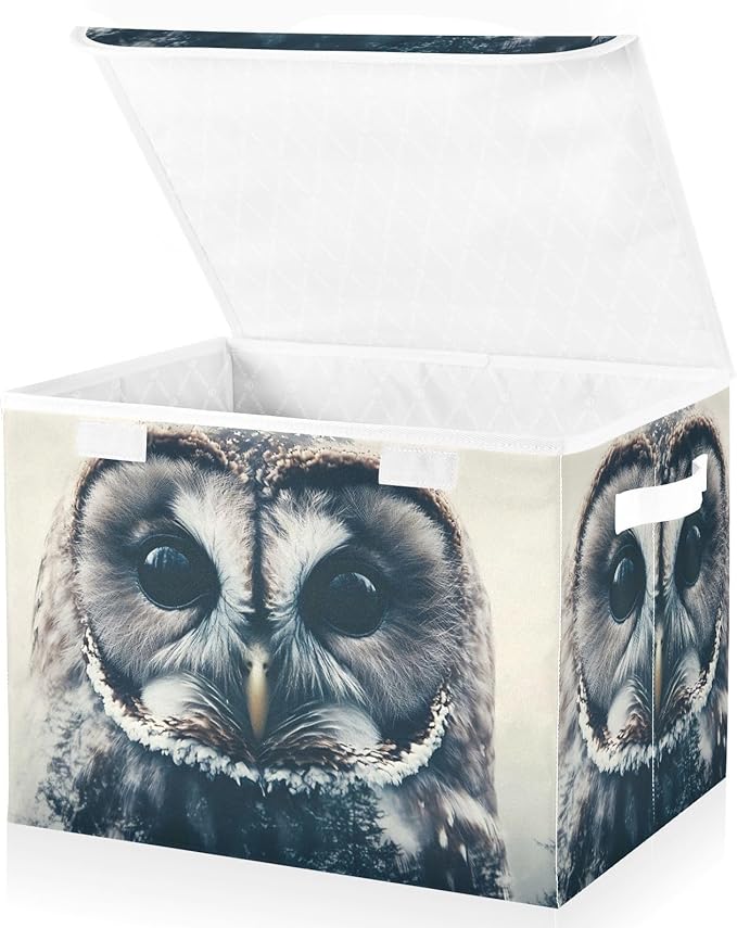 Storage Cube with Lid Cool Owl Print 16.5×12.6×11.8 IN Collapsible Large Capacity Foldable Storage Basket Bin Organizer