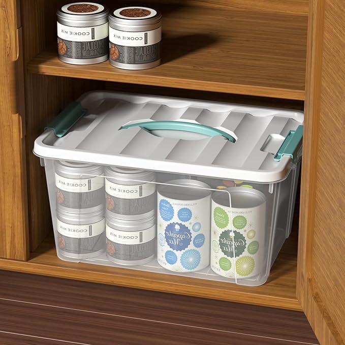 Readsky 4 Packs Clear Storage Latch Box Plastic 14 Quart Plastic Storage Bin with Lid and Handle