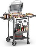 ‌2-Burner Gas Grill Stainless Steel 16000 BTU BBQ Grill with Foldable Side Shelves &amp Storage Shelf – Ideal Propane Grill for Outdoor Barbecues Patio Gatherings and Camping
