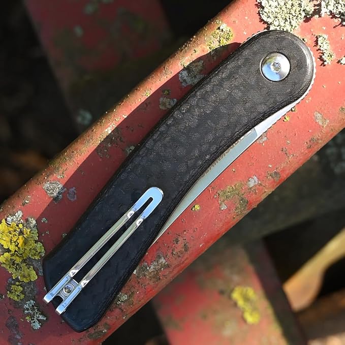BPSKNIVES Colibri - Black Folding Knife 14C28N Stainless Steel Blade with G10 Handle - Small EDC Knife with Pocket Clip for Men - Sharp EDC Knife