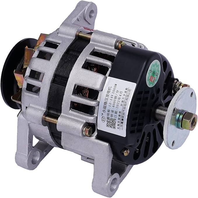 2000W PMA Permanent Magnet Generator DC Brushless Low Rpm Alternator Double Wheel Generator Agriculture (12V/ Double Wheel)