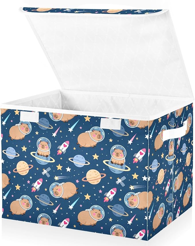 MNSRUU Containers Baskets with Lids Capybara Space Foldable Storage Bins Organizer with Lid Collapsible Storage Boxes for Home Bedroom Closet Office
