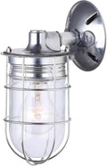CANARM LTD. IOL337AL Weather 1 Light Indoor/Outdoor Ceiling/Wall Mount All Metal with Cage Aluminum Finish