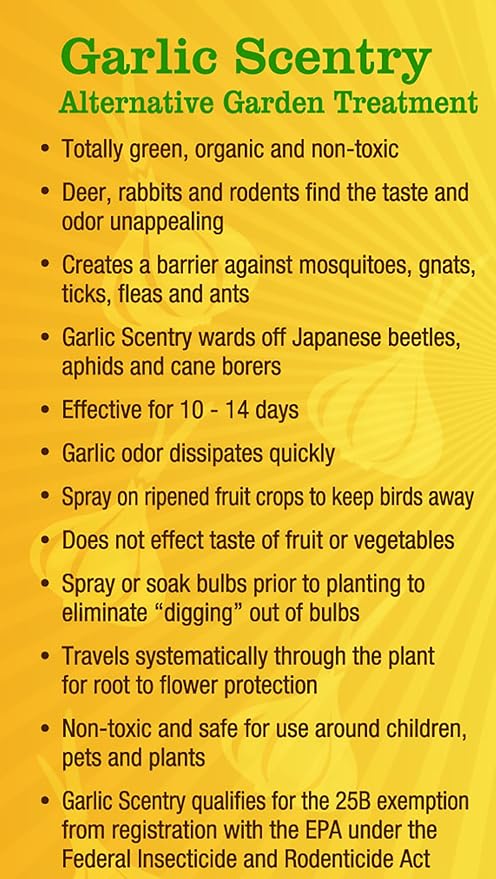 Just Scentsational Bare Ground Solutions GCS-2.5P All Natural Liquid Garlic Concentrate Barrier and Repellent 320 oz (2.5 Gallons)
