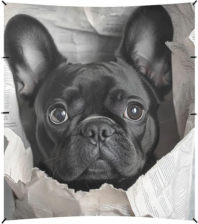 ALAZA French Bulldog Hole Newspaper Beach Tent Sun Shelter Portable Canopy Sunshade for Outdoor Camping Picnics Backyard Fun 10x9 ft