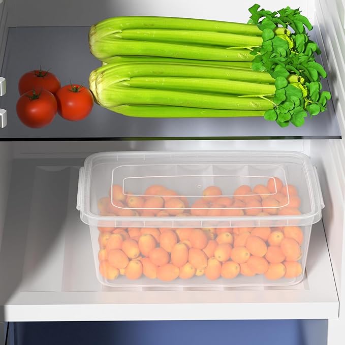 Sandmovie 14 Quart Latch Containers with Lid Clear Latching Box 4 Packs