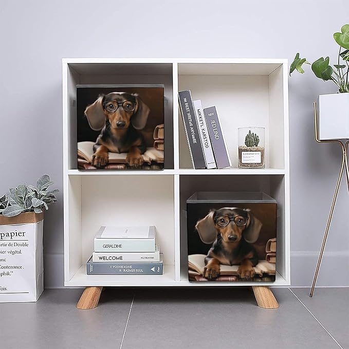Dachshund Printed Foldable Storage Box 10.6 Inches Fabric Storage Box for Wardrobe Bedroom Utility Room