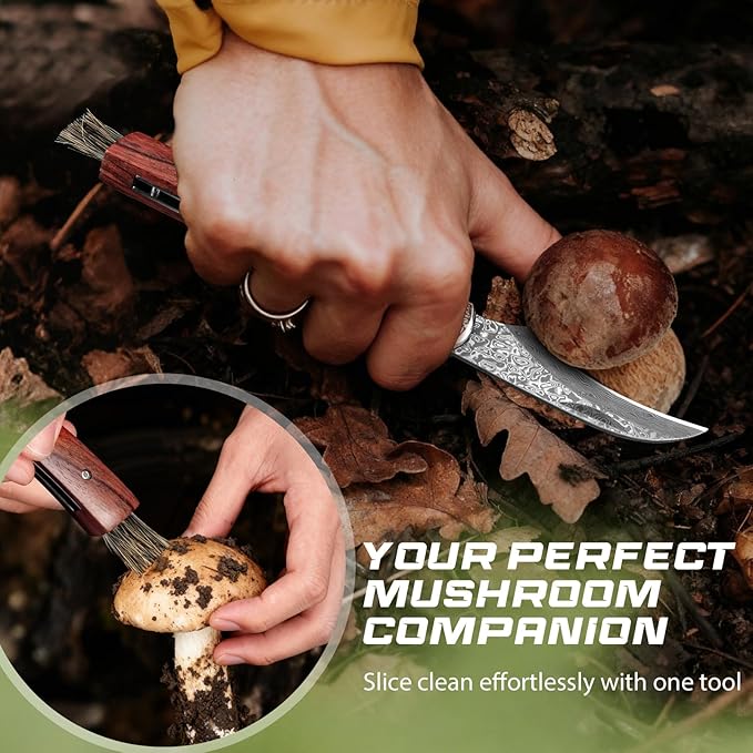 DRACHENADER Mushroom Knife with Brush Folding Foraging Knife with VG10 Damascus Steel Blade Curved Blade Mushroom Harvesting Knives with Leather Sheath for Camping