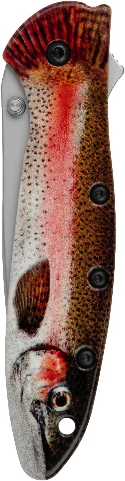 Kershaw Leek BlackWash Pocket Knife (1660BLKW) 3 Sandvik 14C28N Steel Blade 410 Stainless Steel Handle BlackWash Finish SpeedSafe Assisted Open Frame and Tip Locks Reversible Pocketclip 3 OZ