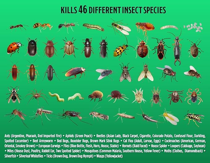 Grandpa Gus's Advanced Pest Killer Concentrate Indoor &amp Outdoor Bug Spray Ants Roaches Flies Spiders Fleas Gnats Silverfish Moths Kid &amp Pet Safe When Used as Directed - 2 Pack 3.7 o
