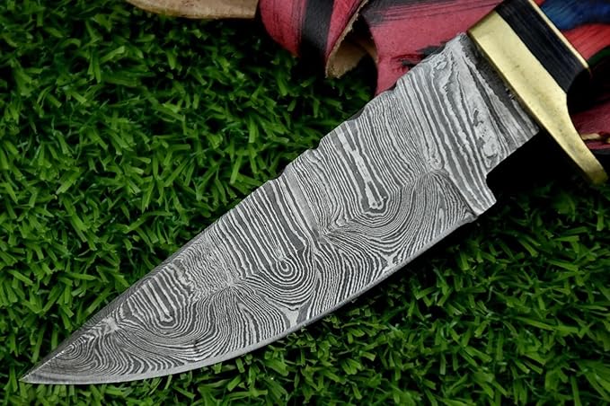 8-Inch Hand-Forged Damascus Steel Hunting Knife Fixed Blade Skinning Design with Leather Sheath Multicolor Wood Handle Brass Guard Twist Pattern Blade for Camping (Multi Color)