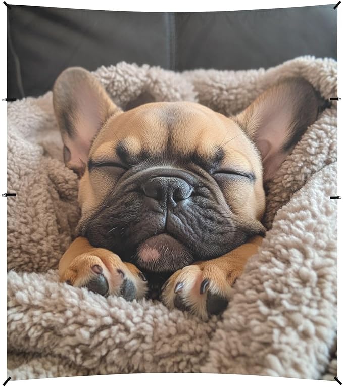 ALAZA Sleeping French Bulldog Puppy in A Soft Blanket Beach Tent Sun Shelter Portable Canopy Sunshade for Outdoor Camping Picnics Backyard Fun 10x9 ft