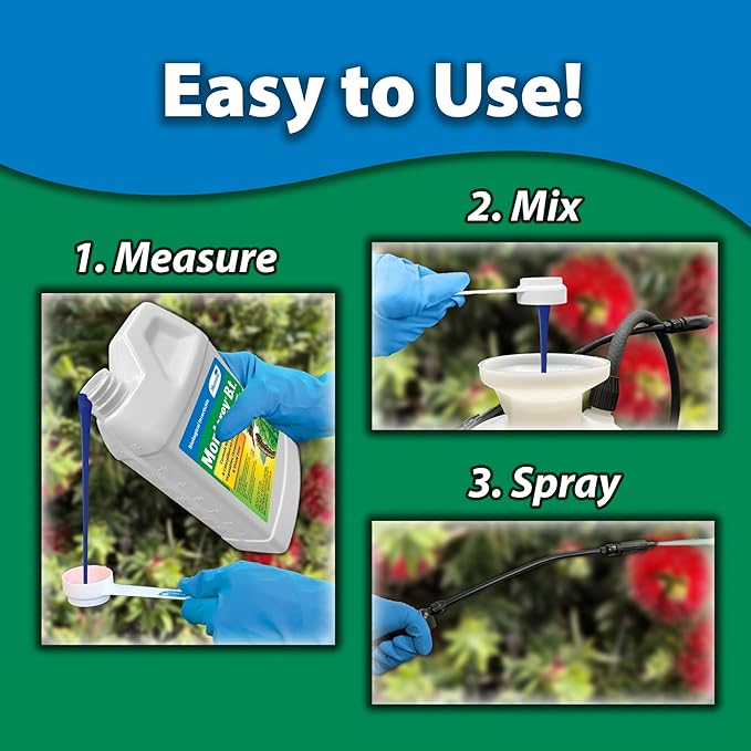 Monterey B.t. Bundled with Measuring Spoon - Caterpillar &amp Worm Killer Organic Gardening - Apply with Sprayer - 32 oz