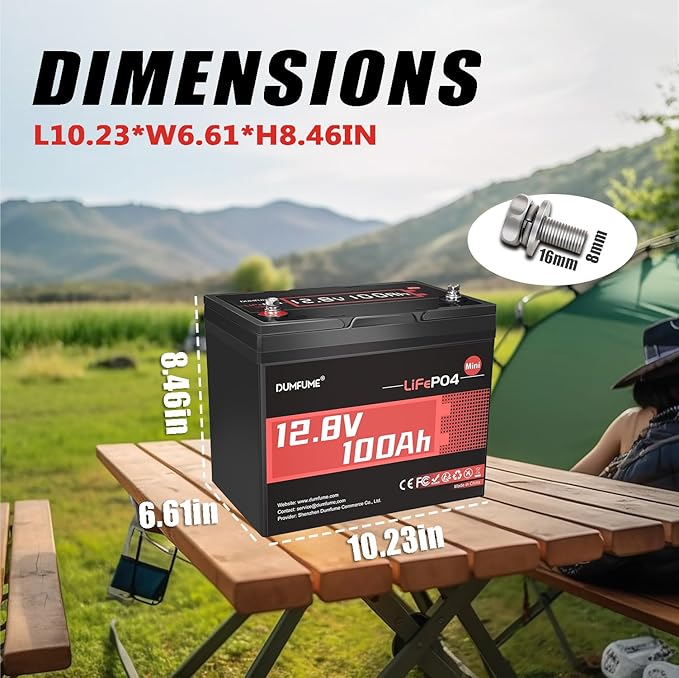 12V 100Ah Mini LiFePO4 Lithium Battery Built-in 100A BMS1280Wh Deep Cycle Rechargeable Battery 6000+ Cycles 10-Year Lifespan for RV Solar Off-Grid and Home Energy Storage