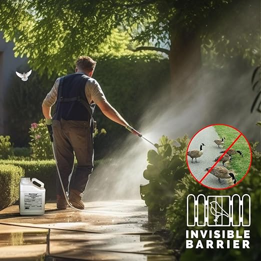 Bird-X Bird Stop Liquid Invisible and Effective Bird Removal Liquid Keep Birds Away Contains Methyl Anthranilate Easy to Apply BS-GAL 1-Gallon