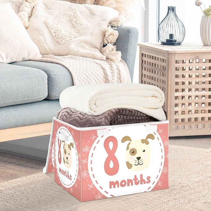 8_months Storage Bins with Lids Collapsible Shoebox Storage Large Storage Bins with Lids for Office Supplies Office