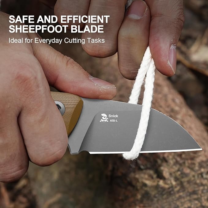 Kizer Snick Fixed Blade Knife with Sheath 2.68 AEB-L Steel Sheepfoot Camping Knife with Brown G10 Handle EDC Knives for Hiking 1085A2
