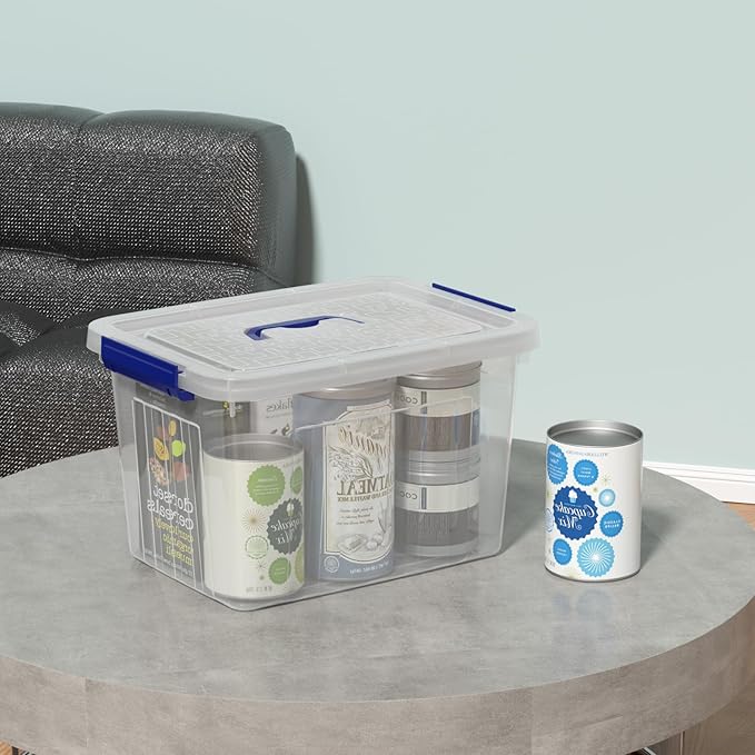 Vababa 4-Pack 10 L Clear Plastic Latch Storage Boxes with Lids