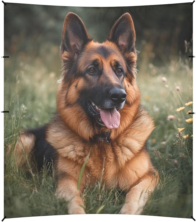 ALAZA German Shepherd Dog Laying in Grass Beach Tent Sun Shelter Portable Canopy Sunshade for Outdoor Camping Picnics Backyard Fun 10x9 ft