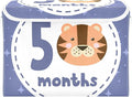 5_months Storage Box with Lid Collapsible Cube Storage Shoe Boxes with Lids for Dorm Room Dormroom Storage