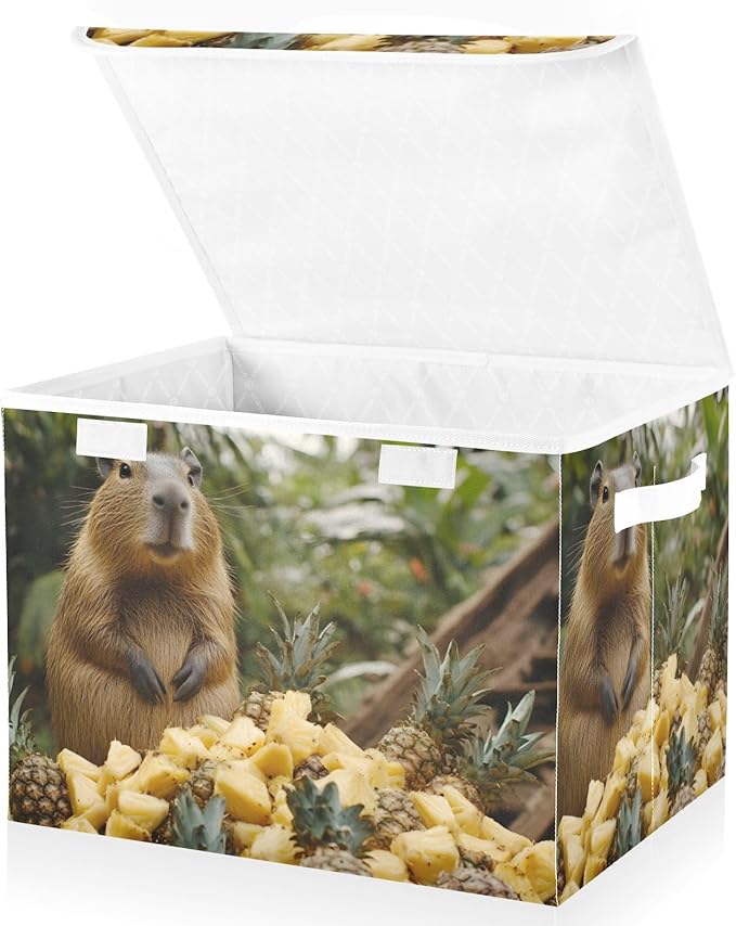 AIXIWAWA Lidded Storage Cube (Capybara Pineapple) Fabric Foldable Closet Bins with Flip Lid and Handles Organizer Basket Container 16.5 x 12.6 x 11.8 IN