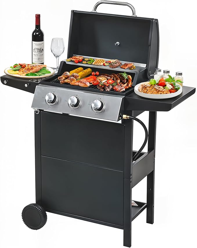 2 and 1 Burner Propane Gas Grill Stainless Steel BBQ Grill 31000 BTU for Outdoor Cooking Kitchen Garden and Patio Backyard Barbecue Black and Silver