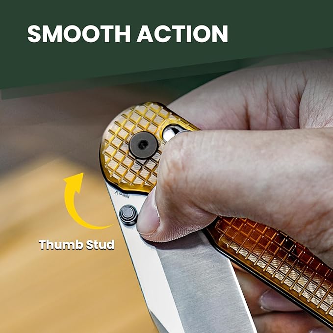 Kizer Assassin Pocket Knife 2.99 Nitro-V Steel Blade Folding Knife PEI Handle EDC Knife for Men Women Outdoor Hunting Camping Knife with Pocket Clip V3549A1