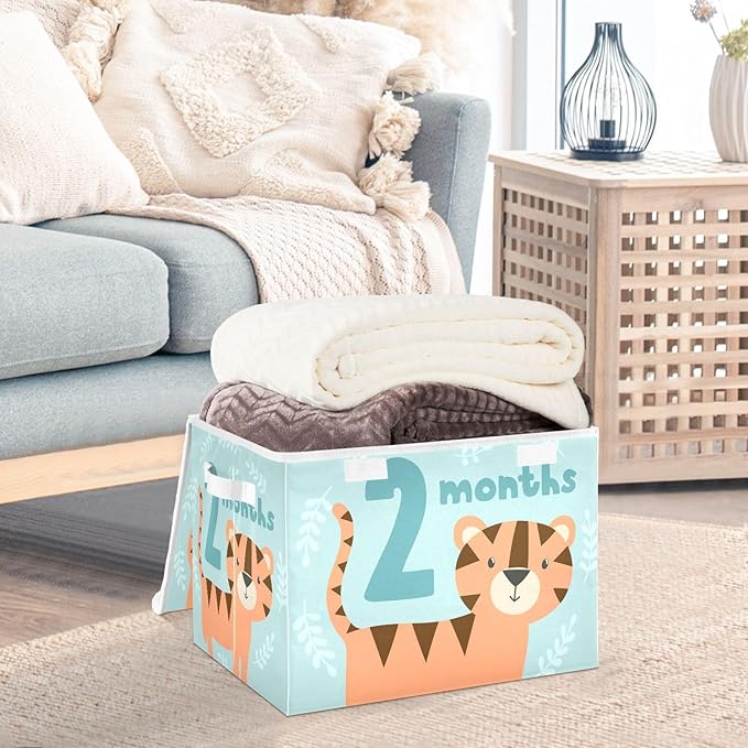 2_months Storage Bins with Lid Foldable Shoe Storage Bins with Lids for Storage for Home Studyroom Office Basket