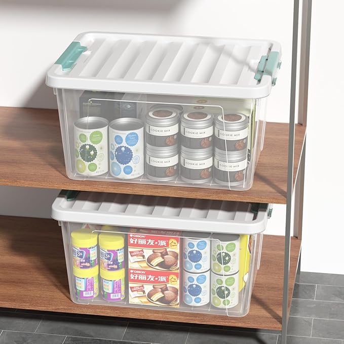 Ramddy 32 Quart Clear Storage Bin with Lid 6-Pack Plastic Storage Box