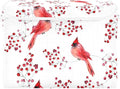 susiyo Large Foldable Storage Bin with Flip-Top Lid Cute Cardinal Birds Storage Box Collapsible Closet Organizer Containers Boxes Decorative Baskets with Handles for Home Bedroom Living Room Office