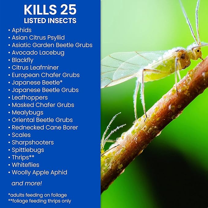 BioAdvanced Fruit Citrus &amp Vegetable Insect Control for Edible Gardening Concentrate 32 Oz with BioAdvanced Fruit &amp Citrus Tree Concentrate 32 oz